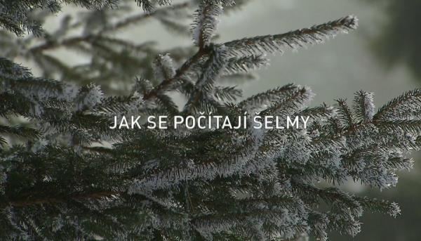 Jak se počítají šelmy