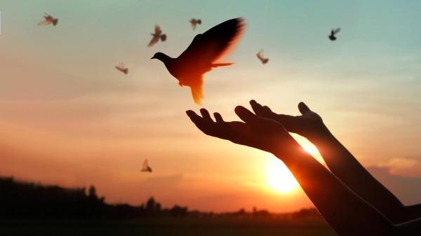 Msza Święta w niedzielę wielkanocną z Watykanu