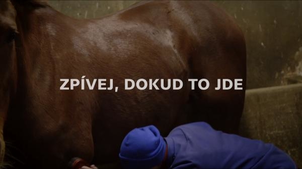 Zpívej, dokud to jde