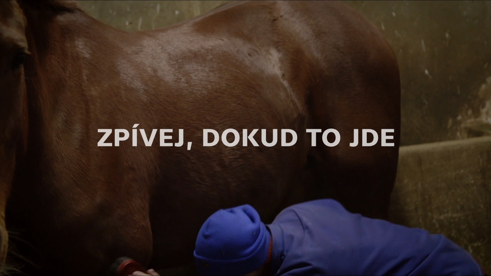Documentary Zpívej, dokud to jde