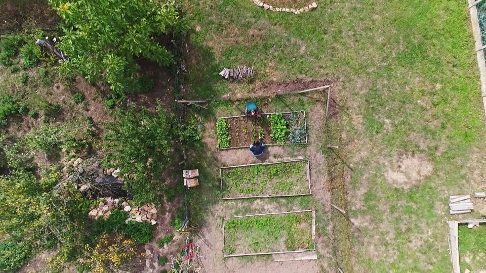 Dokument Potagers: si on semait !
