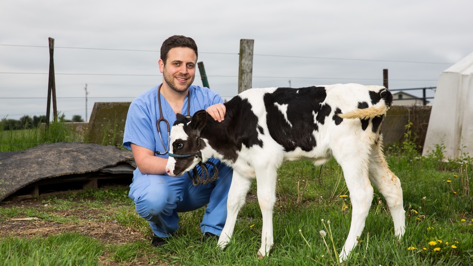 Život na Veterinární univerzitě