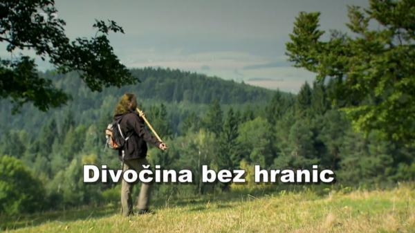 Divočina bez hranic