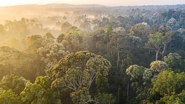 Rajska wyspa - Borneo