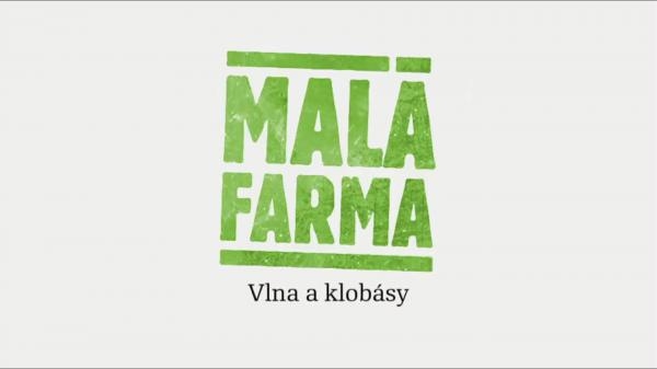 Vlna a klobásy