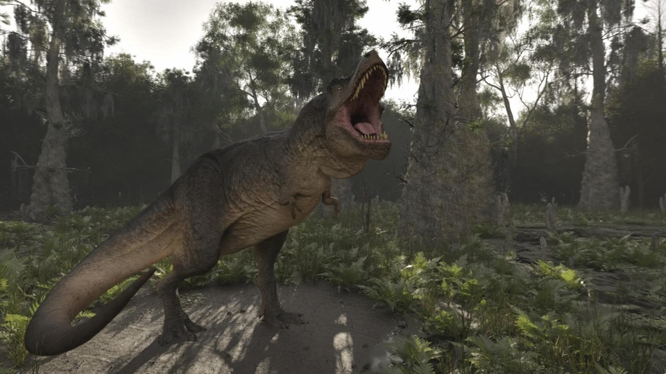 Dokumentarci Otkrivanje izgubljenih zvijeri