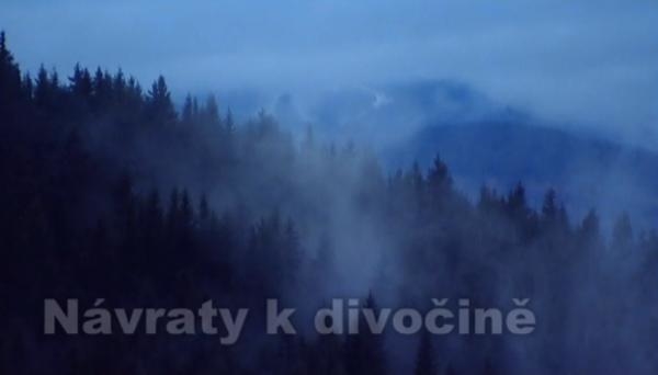 Návraty k divočině