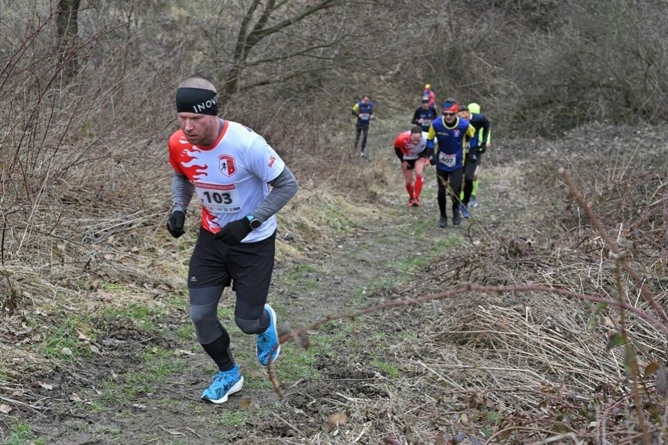 Ludgeřovická 15