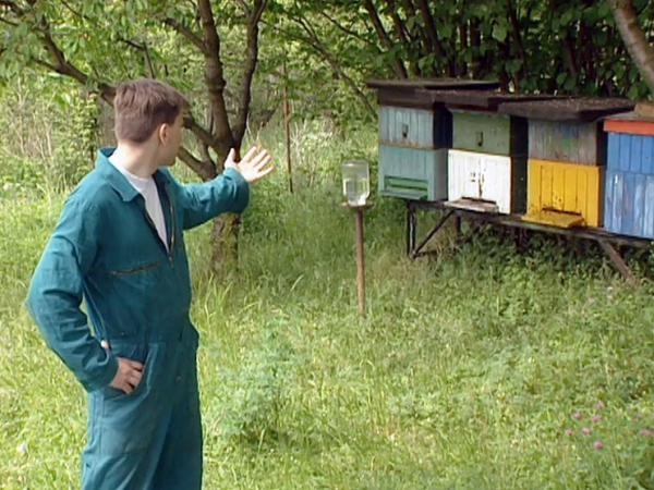 Jak se žije včelařům podle Jána Sebechlebského