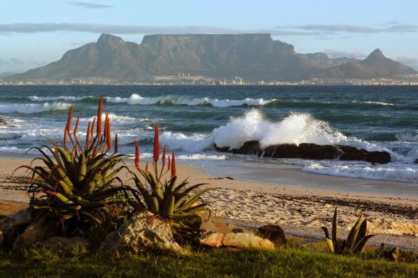 Drive Thru South Africa