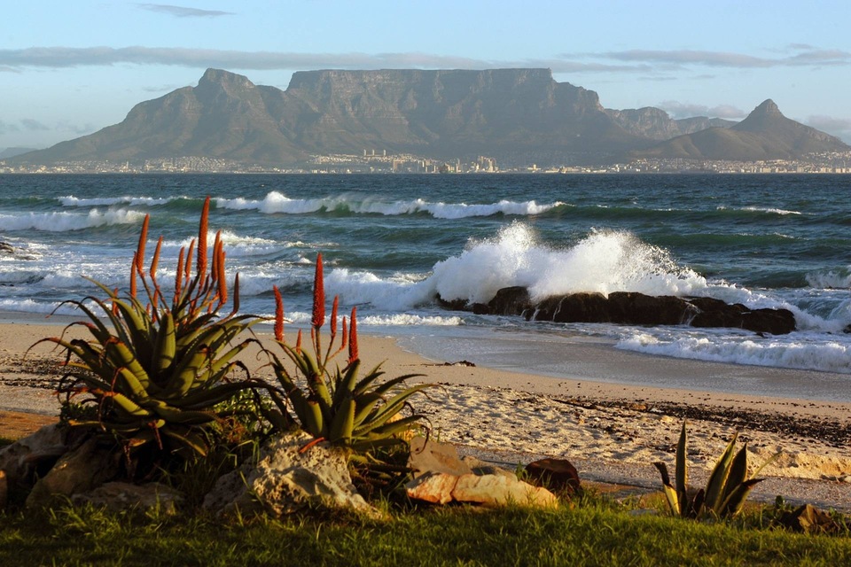 Drive Thru South Africa