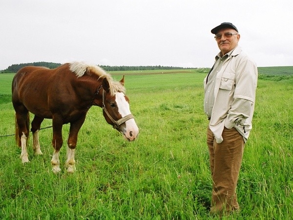 Documentary Wambierzyce