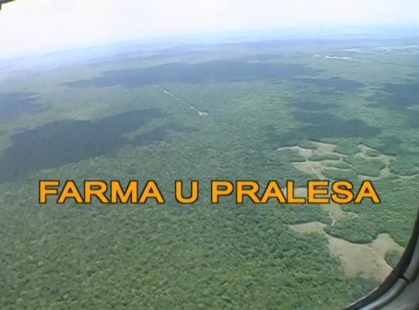 Farma u pralesa