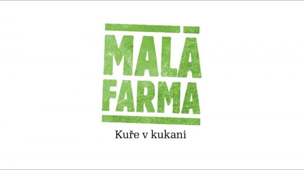 Kuře v kukani