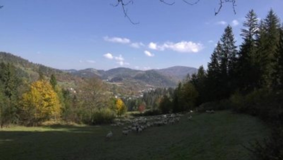 Dokument Proměny Oščadnice