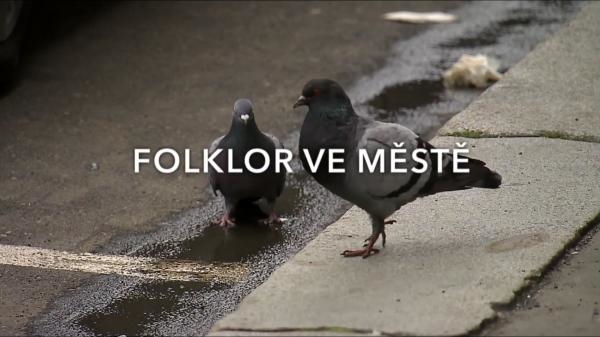 Folklor ve městě