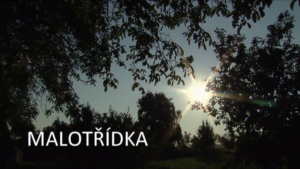 Документ Malotřídka