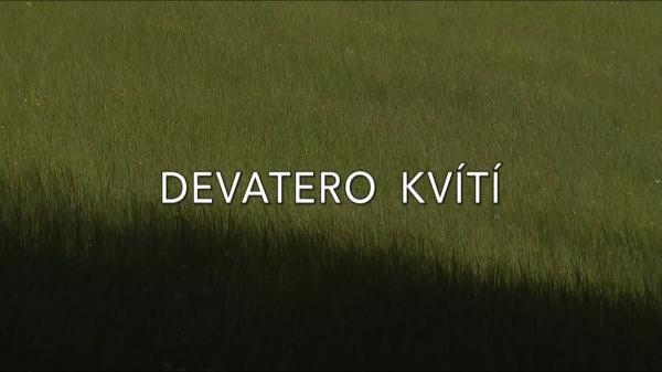 Devatero kvítí