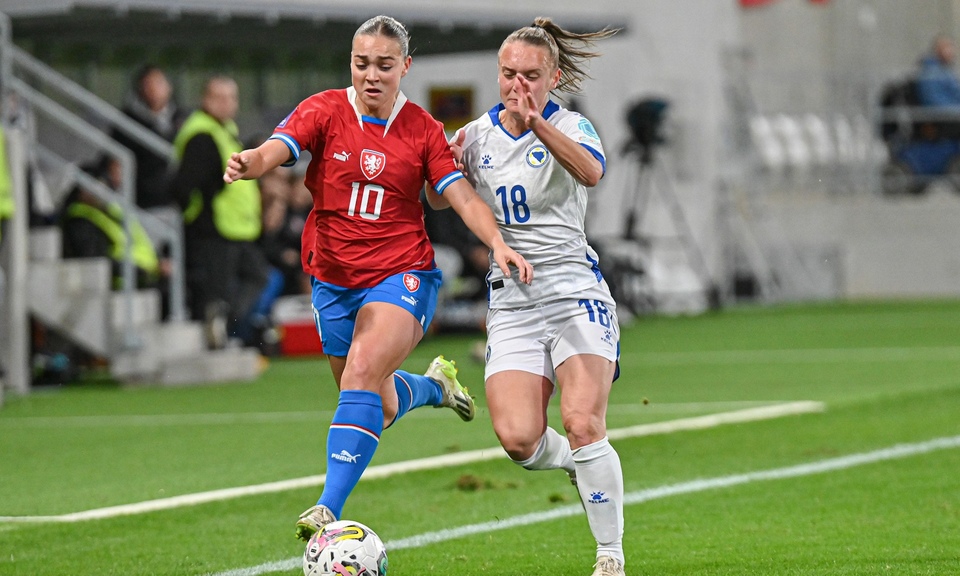 Fotbal: Dánsko - Česko