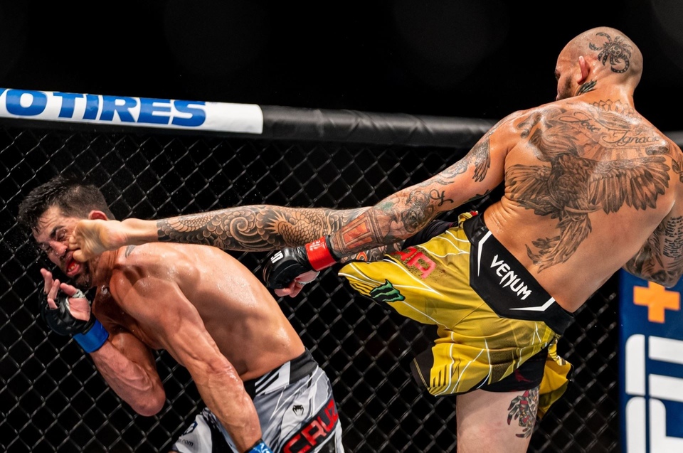 Real Fight Life