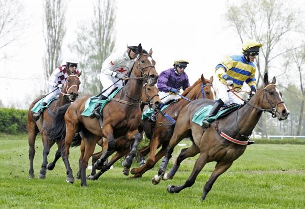 Dostihy: Prvomájová steeplechase