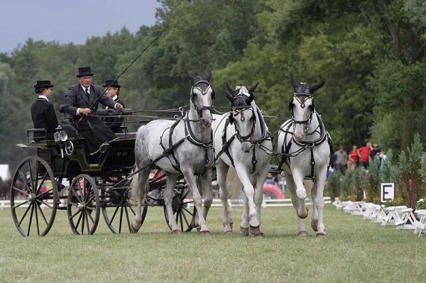 Jezdectví: J&T BANKA CSI3*-W Olomouc