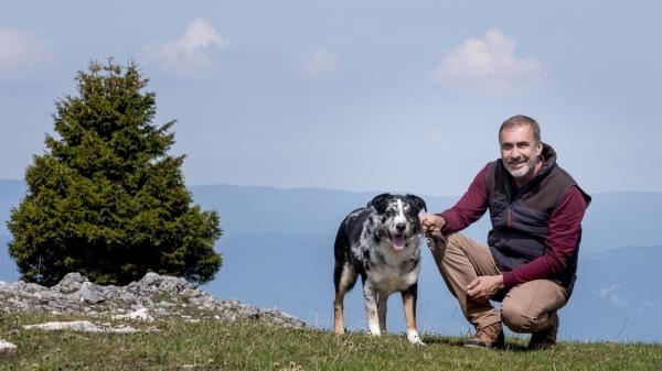 Chroniques d'en haut