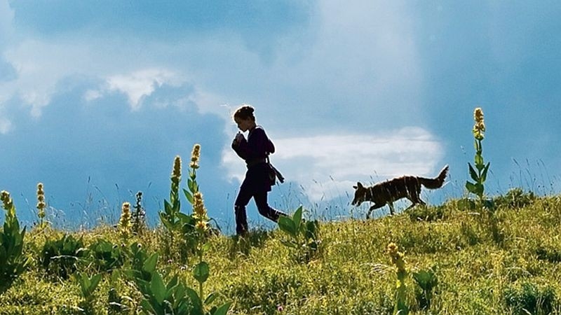 Film Léto s&nbsp;liškou