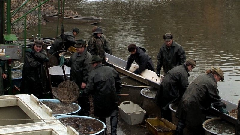 Dokument Na cestě po Třeboňsku