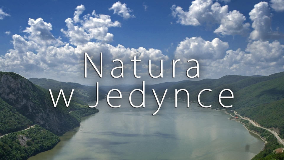 Документ Normandia między oceanem a niebem