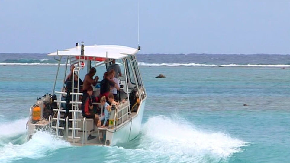 Dokument Moorea, l'île aux requins citrons