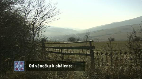 Od věnečku k obálence