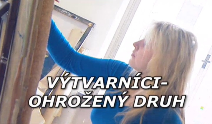 Dokument Výtvarníci - ohrožený druh