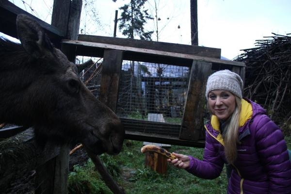 Noćne more iz svijeta prirode: Borneo