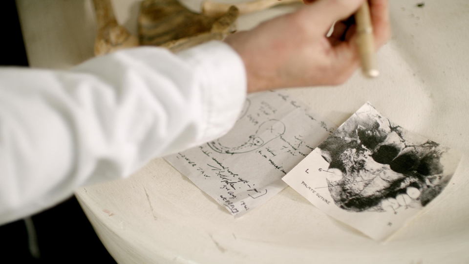 Documentary Ubojita povijest