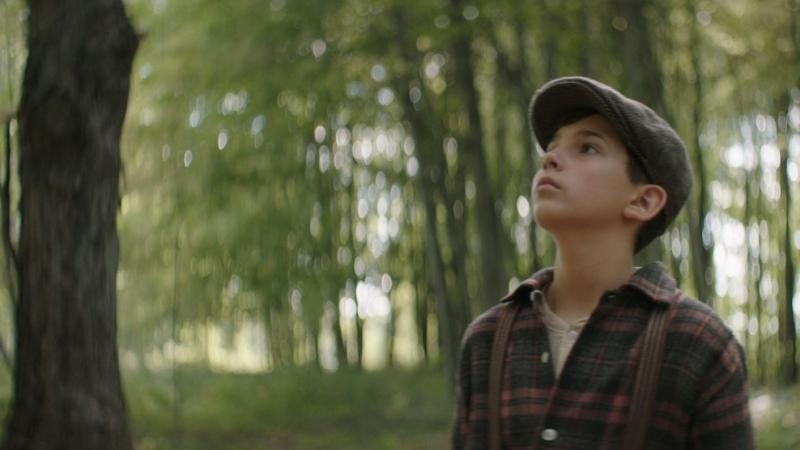 Film Bosý za úsvitu