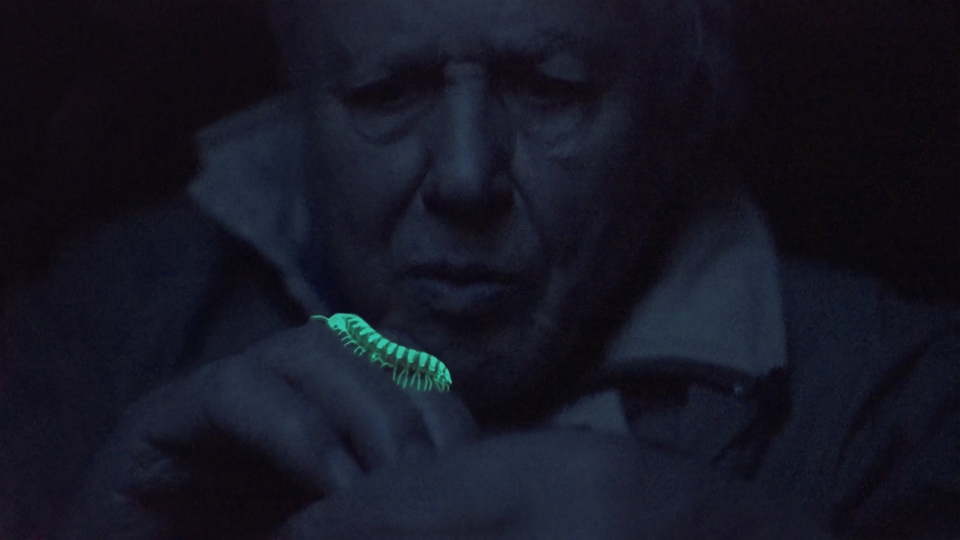 Dokument David Attenborough a&nbsp;živé světlo