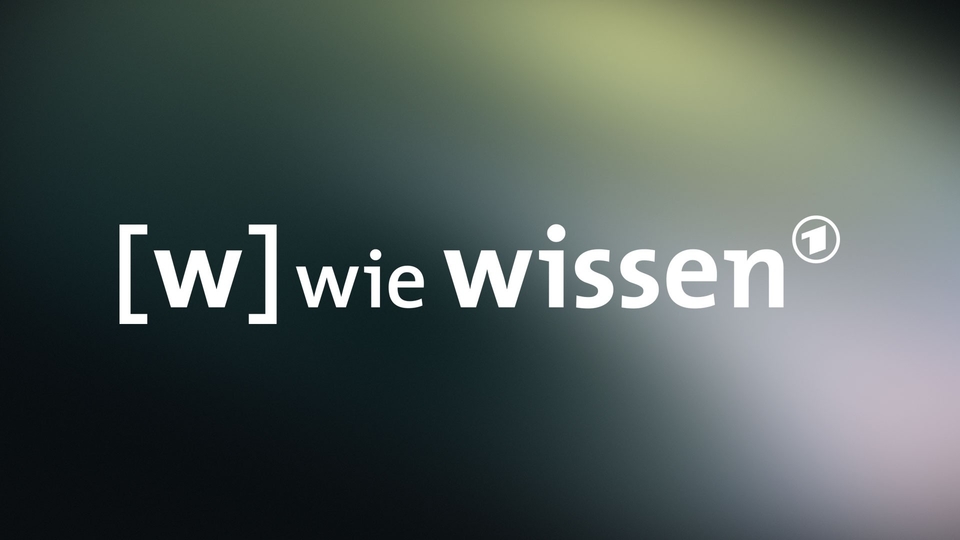 W wie Wissen