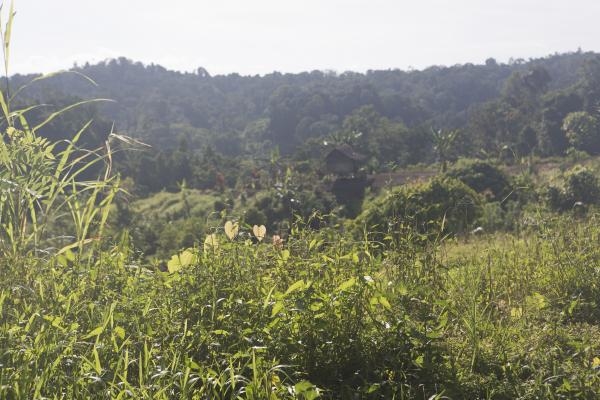 Papua Nová Guinea - Dva svety