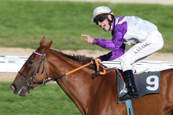 Dostihy: 44. Turf-gala