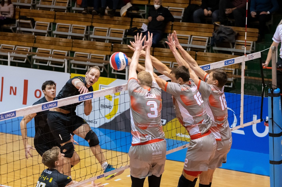 Volejbal: VK Lvi Praha - Greenyard Maaseik