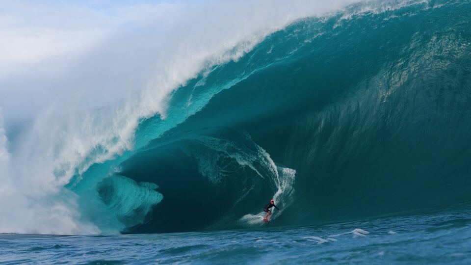 Dokument Surf, le feu sacré