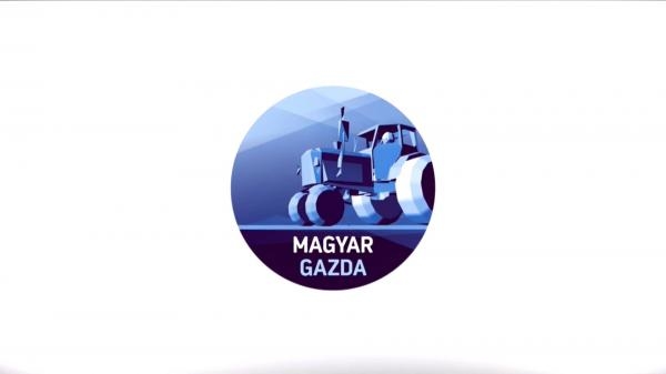 Magyar gazda