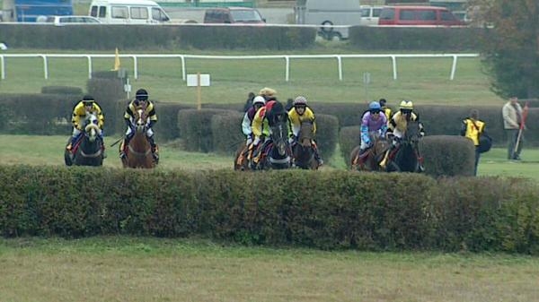 Dostihy: Velká slušovická steeplechase