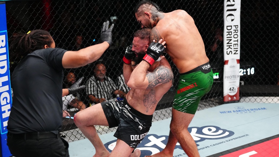 UFC Fight Night: De Ridder vs. Hernandez