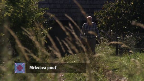Mrkvová pouť
