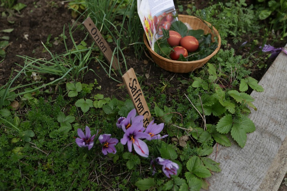 Dokumentarci Rajski vrtovi