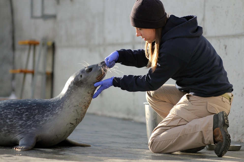 Dokumentarci Arktički veterinari