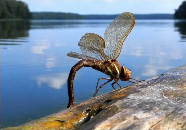 Stechlin: Svět průzračných jezer