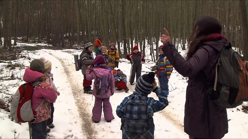 Найкращі docusoap з року 2013 онлайн